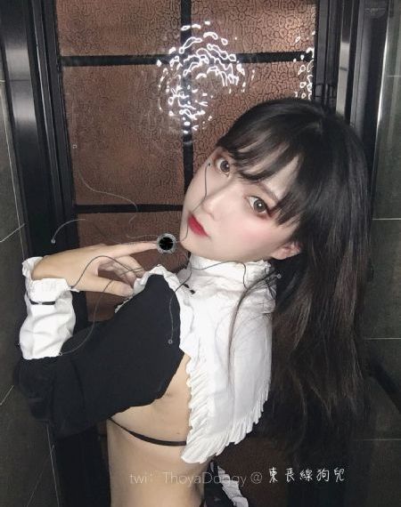 信条在线观看