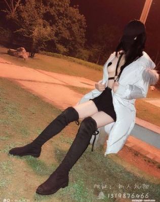 目标是宝可梦大师