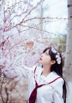 免费观看日本