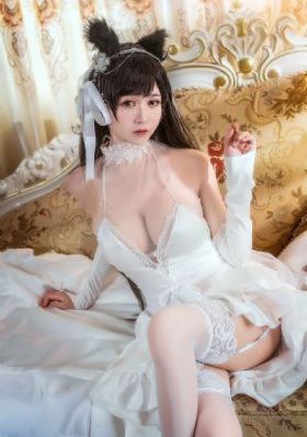 加菲猫的幸福生活免费观看完整版